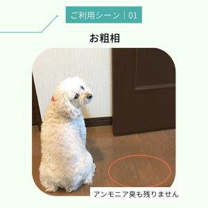 消臭スプレー シルバー ペレッティー 500m...の詳細画像4