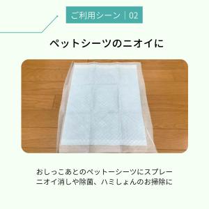 消臭スプレー シルバー ペレッティー 500m...の詳細画像5