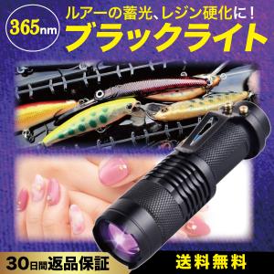 紫外線ライト ブラックライト 365nm UV ルアー メタルジグ 蓄光 ネイル レジン 硬化