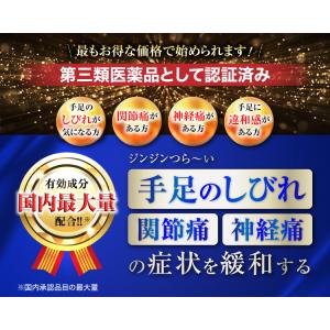 【第3類医薬品】コーズシックスシビリトル 60錠の詳細画像2