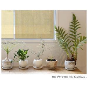 のれん 暖簾 おしゃれ カーテン 90cm 日...の詳細画像4