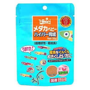 ヒカリ メダカベビー ハイパー育成