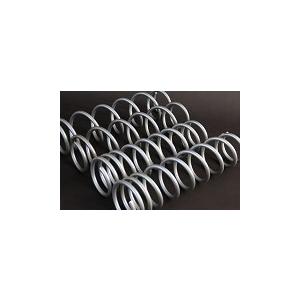 ジムニー タニグチ SOLVE LOB 2インチアップコイル ジムニー