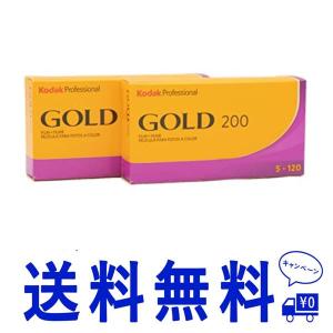 120_10本セット Kodak カラーネガティブフィルム GOLD 200 120 10本パックの商品画像