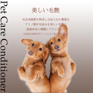 La Fun ラ ファン500ml詰替え用 (...の詳細画像4