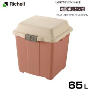 リッチェル/Richell 宅配ボックス 65 【送料無料】【直送品】【※沖縄県・離島への配送不可】