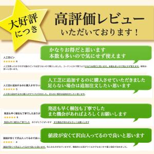 人工芝ピン 50本 固定ピン 防草シート u字...の詳細画像1
