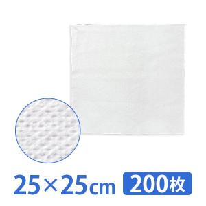 フェイス ガーゼ 不織布 コットン70％ ポリエステル30％ 25×25cm 200枚入 (11035） 化粧用 コットン エステ用品の商品画像