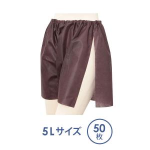 スリット入り ペーパートランクス 5Lサイズ ブラウン