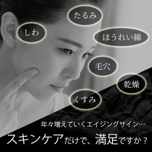 業務用 サロン用 超音波 美顔器 HD 超音波...の詳細画像2