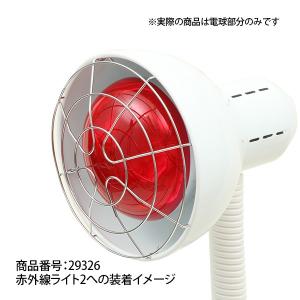 赤外線ライト用交換ランプ 赤外線 温熱器 温熱...の詳細画像1