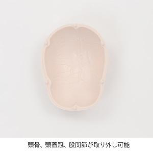 人体模型 骨格模型 7ウェルネ 全身骨格 模型...の詳細画像2