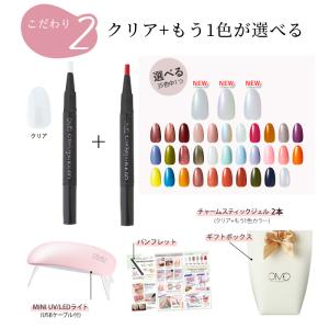ジェルネイル ギフト セット チャームスティッ...の詳細画像4