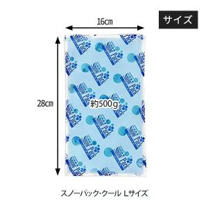 三重化学工業 スノーパック クール L アイス...の詳細画像1