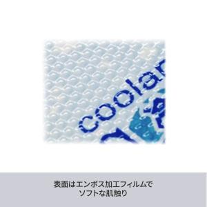 三重化学工業 スノーパック クール L アイス...の詳細画像2