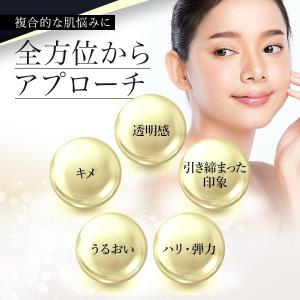 シートマスク パック フェイス デイリー 大容...の詳細画像2
