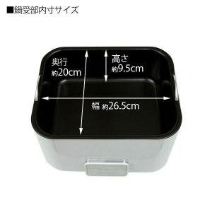 ホットストーン 導入セット ウォーマー ストー...の詳細画像5