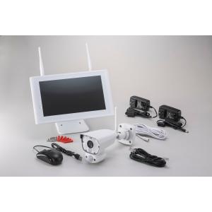 NSK AIワイヤレスカメラセット NS-AI2110WRMS : でんでん