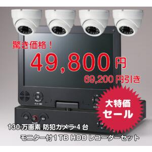NS-9015WMS らくらくeye cam ワイヤレスカメラセット : NSKダイレクト