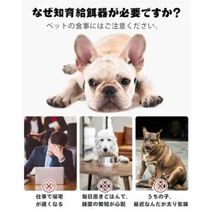 犬 知育給餌器 知育訓練 フードボウル 自動給...の詳細画像1