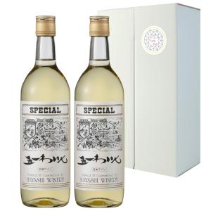 常温発送】WS-2ポケットワイン 180ml バーガンディ・ブラン 4パック
