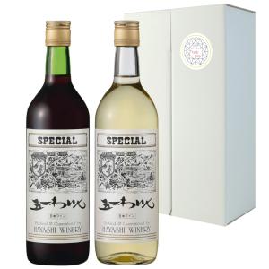 長野ワイン　日本ワイン　国産ワイン11本セット 五一ワイン 赤ワイン スペシャル special 720ml 2本 長野県 日本ワイン