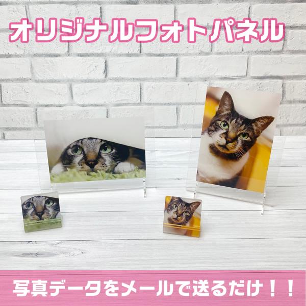 アクリル オーダーメイド  オリジナル アクリルフォトパネル 写真立て ペットロス 記念日 誕生日 ...