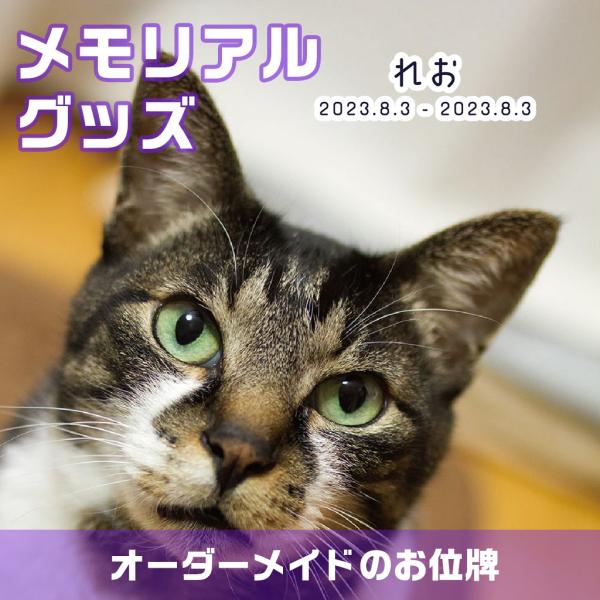 メモリアルグッズ アクリルブロック ペットロス キューブ オーダーメイド オリジナル 写真 画像