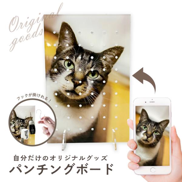 アクリル オリジナル パンチングボード 有孔 玄関 オフィス 推し活 SNS 映え