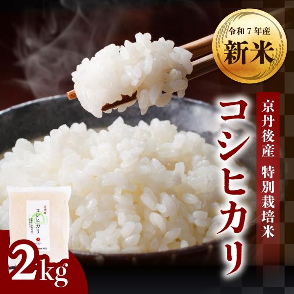 【新米】特別栽培米 令和7年産 京丹後市産コシヒカリ 2kg 1袋《こだわり農家城下和彦氏栽培米》※...