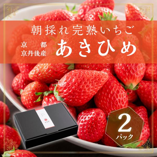 京丹後産　朝採れ完熟いちご「あきひめ」８粒〜１１粒入り2パック　農園直送　ギフト　お取り寄せ
