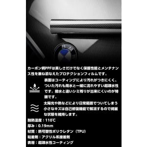 ペイントプロテクションフィルム グロスカーボン...の詳細画像4