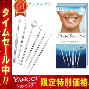 歯石取り 器具 6本セット デンタルケア ツール ステンレス製 デンタルツール 歯 ヤニ 歯垢 しこう取りスケーラー