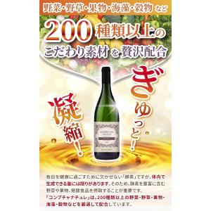 【医師監修】コンブチャ 酵素ドリンク 低糖度 ...の詳細画像3