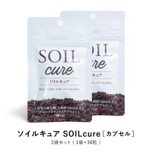 ソイルキュア カプセル 2袋 腸内細菌環境に必要な菌群がバランスよく入ってスッキリをサポート｜ntc-yh