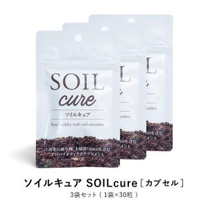 賢者のアルギニンシトルリン 2袋 アミノ酸 ビタミン BCAA DHA EPA HMB