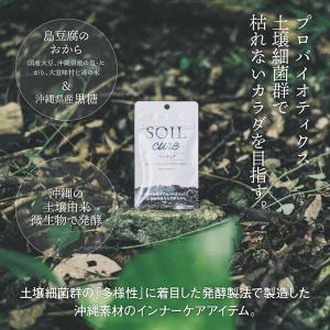 ソイルキュア パウダータイプ 15g 腸内細菌...の詳細画像1