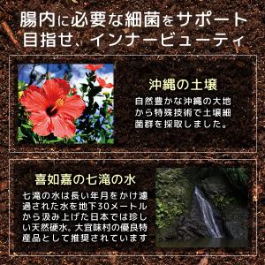 ソイルキュア パウダータイプ 15g 腸内細菌...の詳細画像2