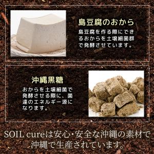ソイルキュア パウダータイプ 15g 腸内細菌...の詳細画像3