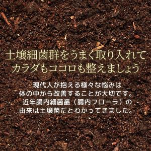 ソイルキュア パウダータイプ 15g 腸内細菌...の詳細画像4