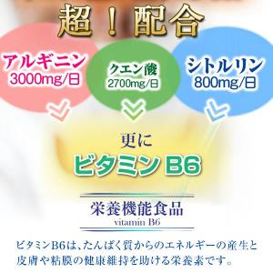 賢者のアルギニンシトルリン 220g アミノ酸...の詳細画像2