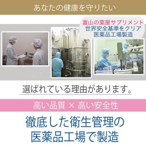 賢者のアルギニンシトルリン 220g アミノ酸...の詳細画像4