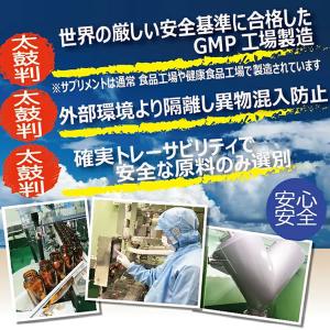 賢者のアルギニンシトルリン 220g アミノ酸...の詳細画像5