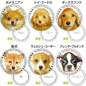 デザイン紙コースター 犬 No.9 6枚入 0090