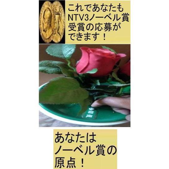 新生活  正月の絶品