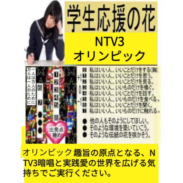 新生活  NTV3オリンピックの花セット