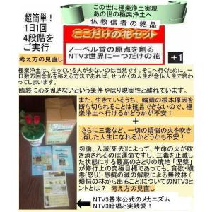 新生活 仏教信者の絶品の詳細画像1