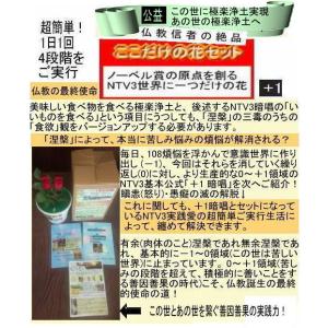 新生活 仏教信者の絶品の詳細画像2