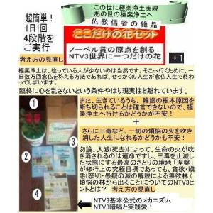 公益 NTV3執着心の発動法の詳細画像1