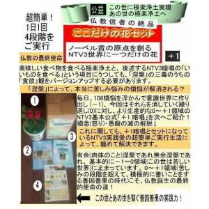 公益 NTV3執着心の発動法の詳細画像2